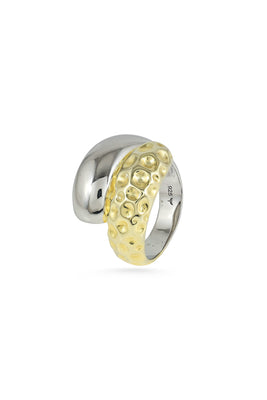 Textured Silver Gold Tone Ring
