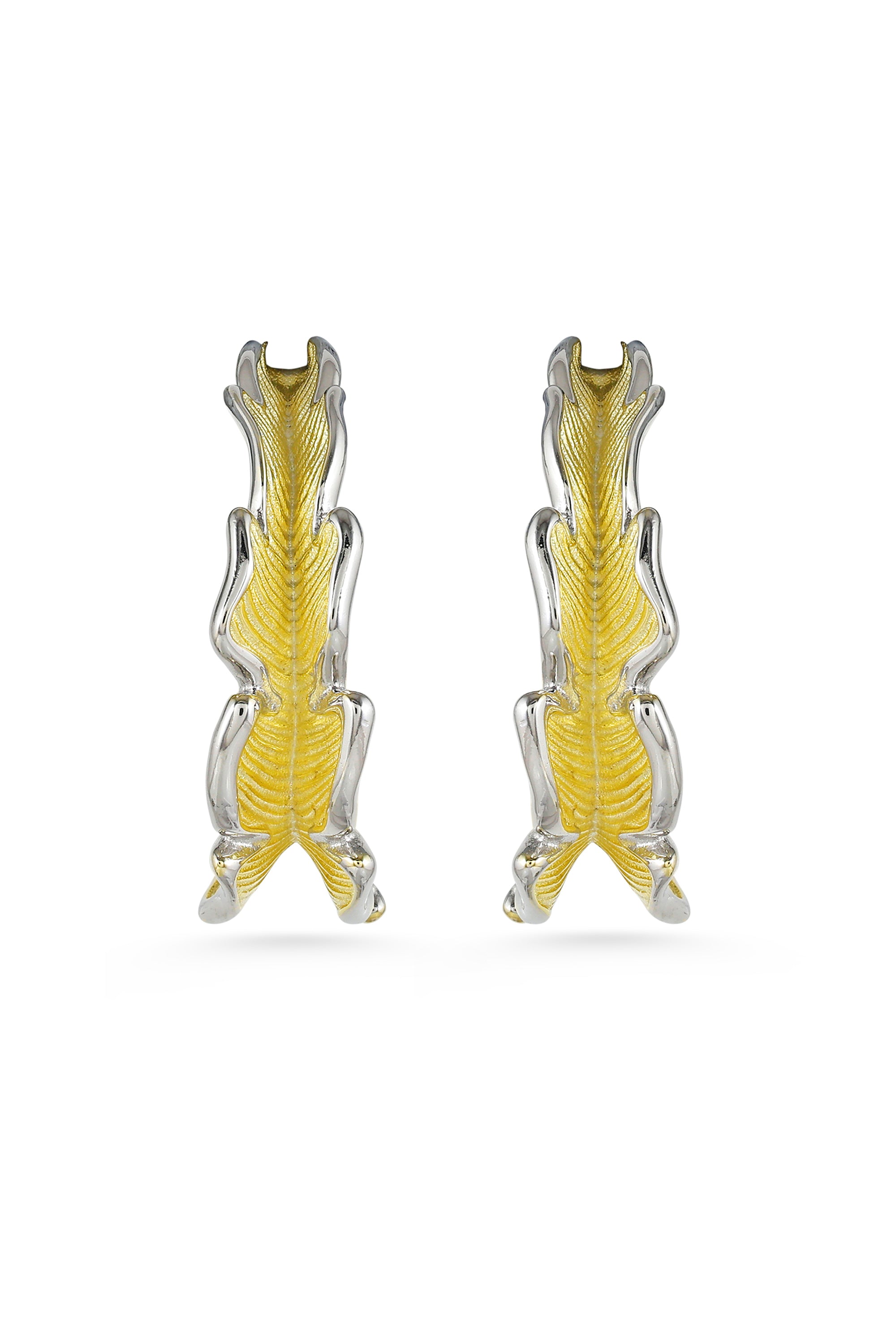 Dual Tone Hoop Earrings